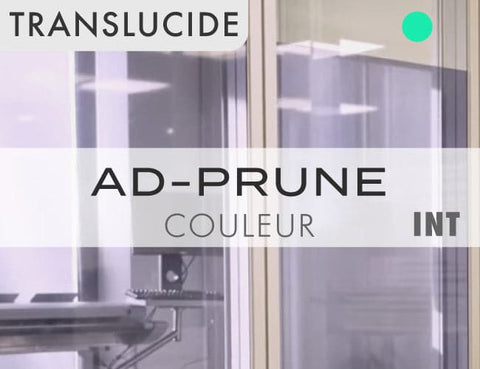 Translucide - PRUNE - 152cm